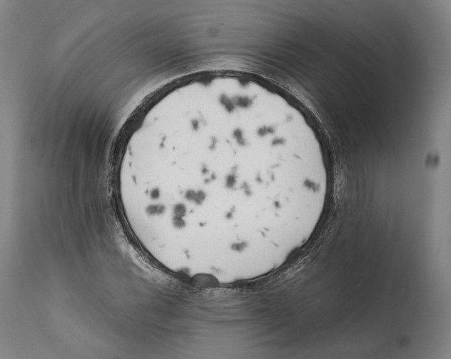 X0000111531116200908111219