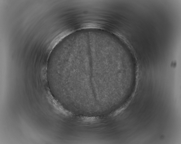 X0000111531121200908111219