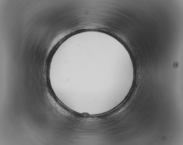 X0000111531122200908111219