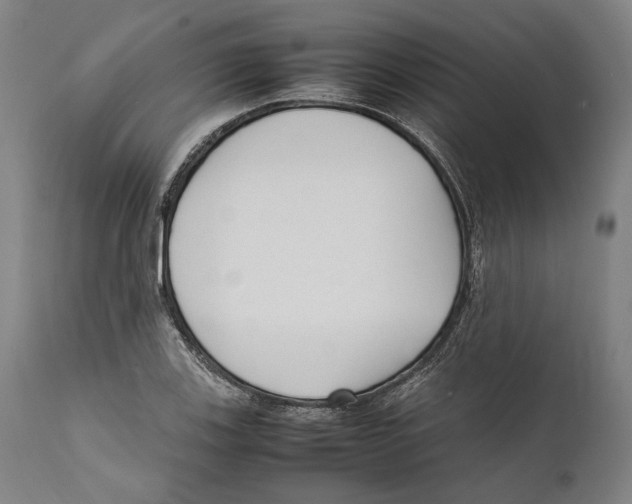 X0000111531123200908111219