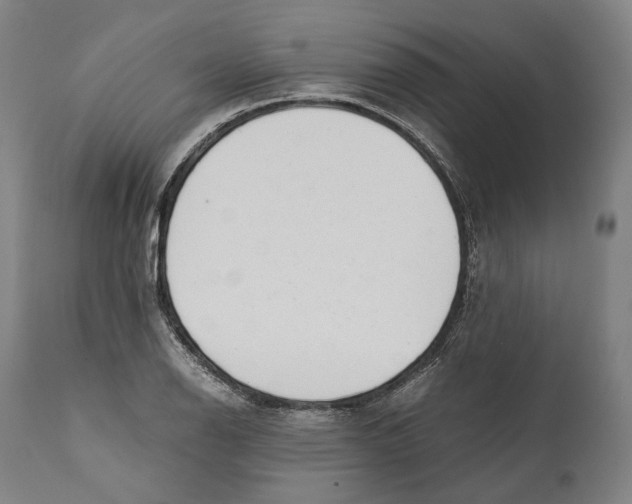 X0000111531126200908111219