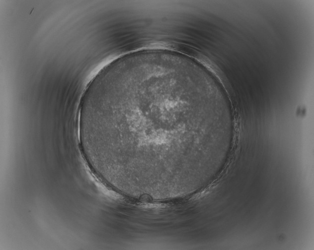 X0000111531127200908111219