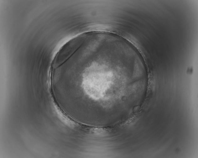 X0000111531128200908111219