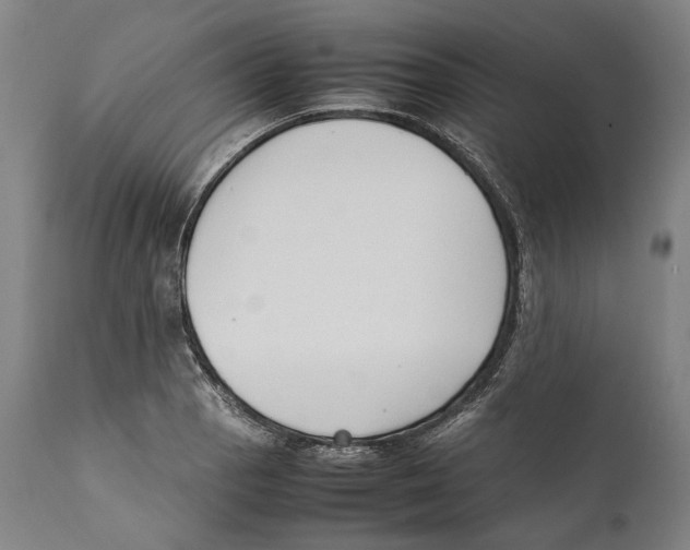 X0000111531129200908111219