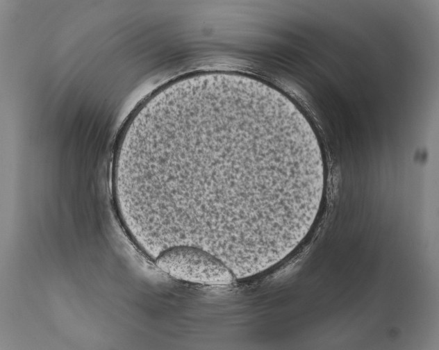 X0000111531130200908111219