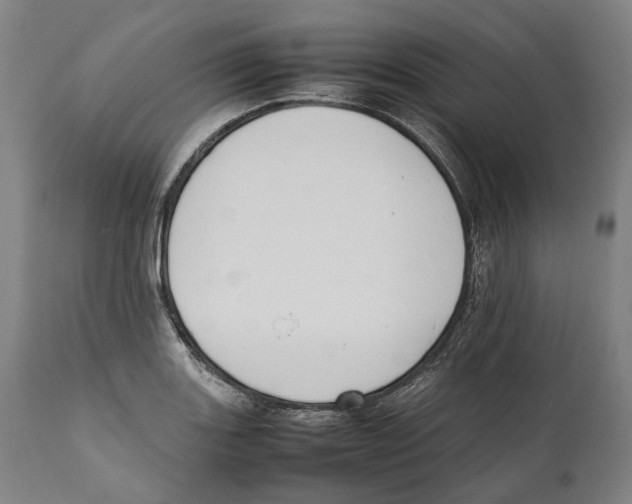 X0000111531131200908111219