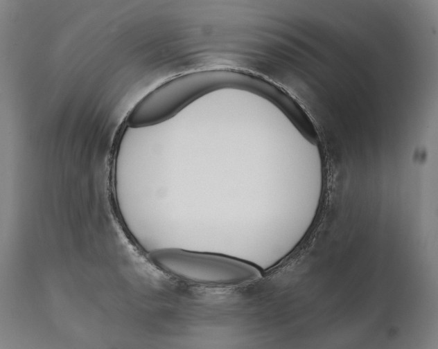 X0000111531134200908111219