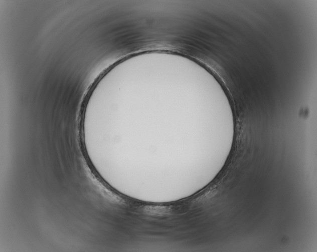 X0000111531135200908111219