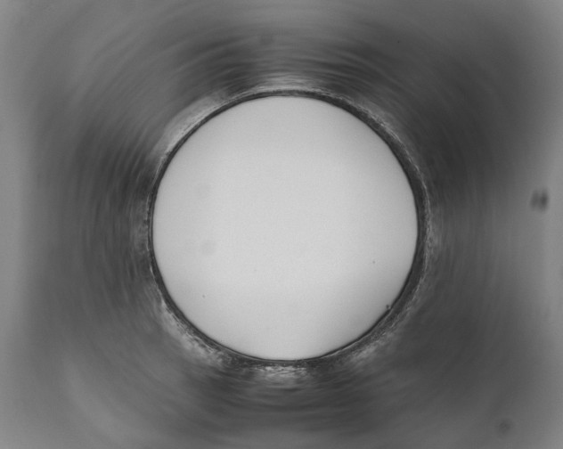 X0000111531137200908111219