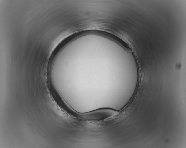 X0000111531138200908111219