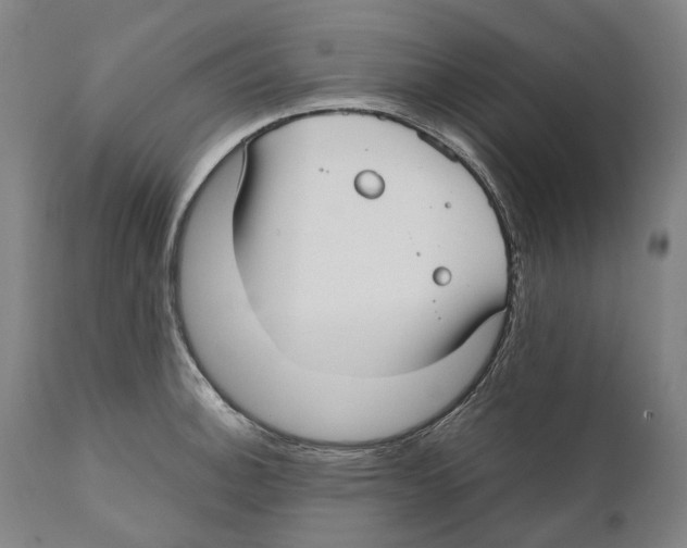 X0000111531140200908111219