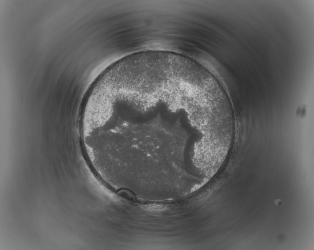 X0000111531141200908111219