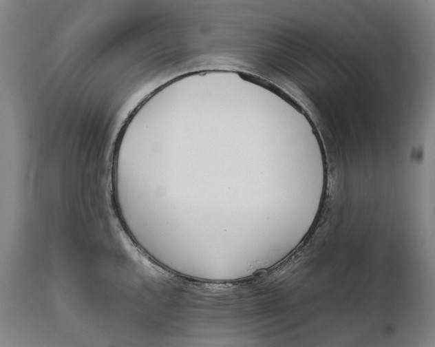 X0000111531144200908111219