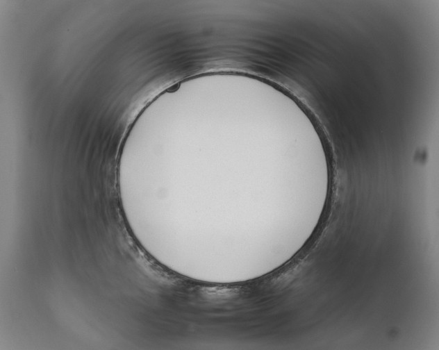 X0000111531145200908111219