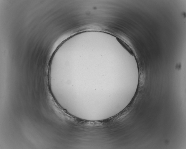 X0000111531146200908111219