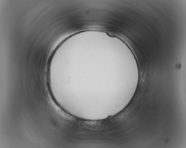 X0000111531147200908111219