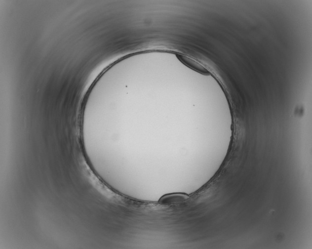 X0000111531148200908111219