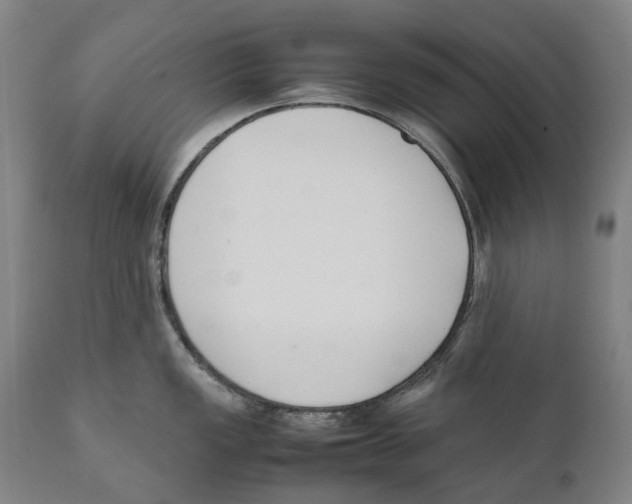 X0000111531149200908111219