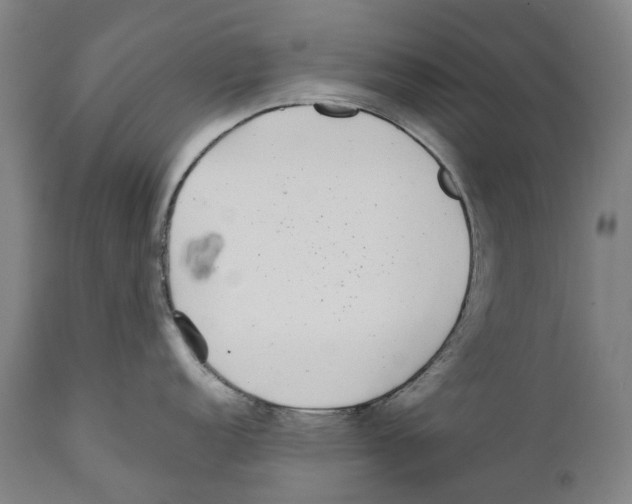 X0000111531152200908111220