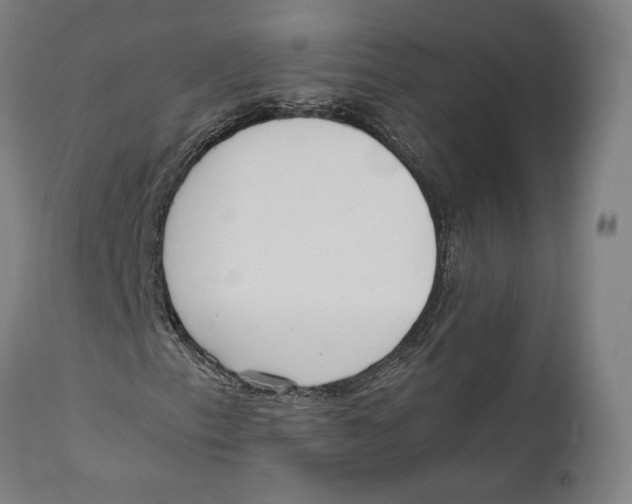 X0000111531153200908111219