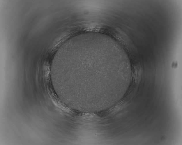 X0000111531154200908111219