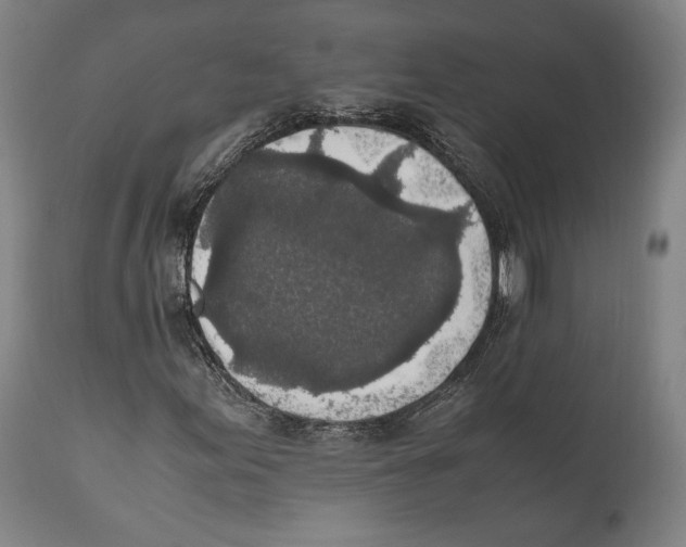 X0000111531155200908111219