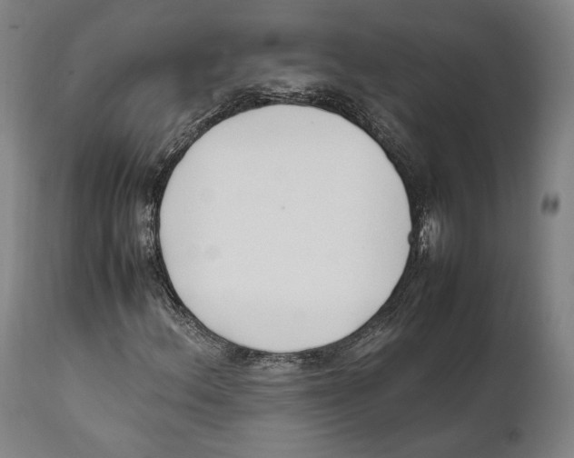 X0000111531156200908111219