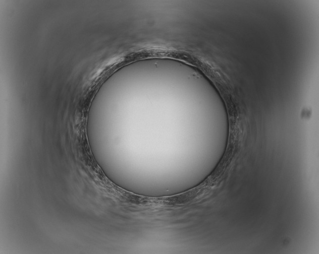 X0000111531157200908111219