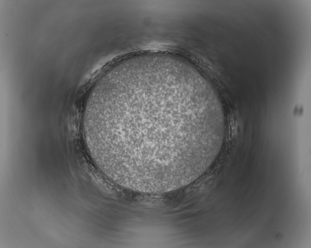 X0000111531158200908111219