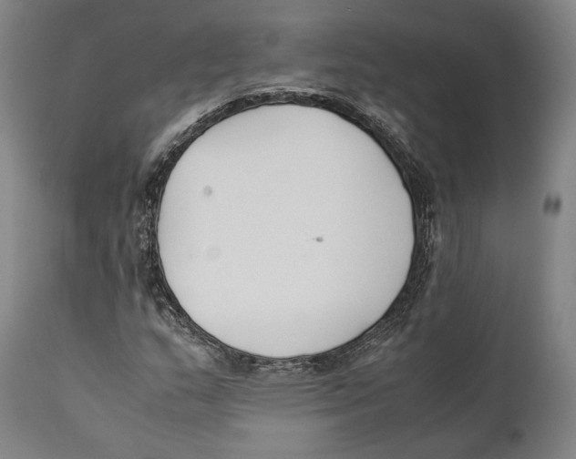 X0000111531159200908111219