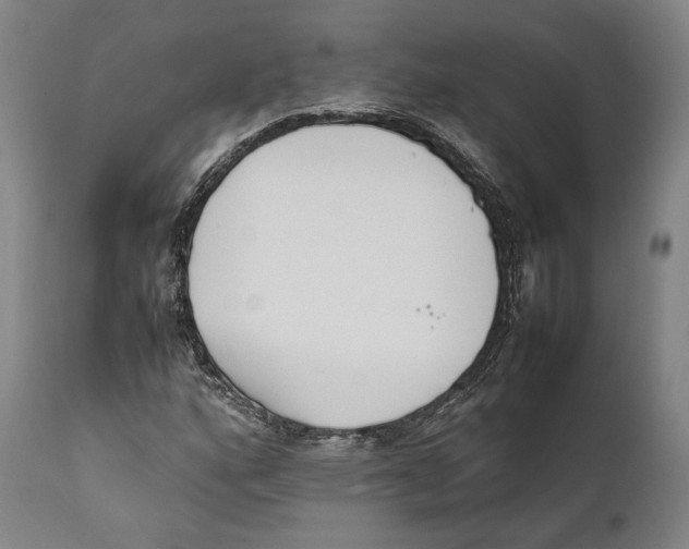 X0000111531160200908111219