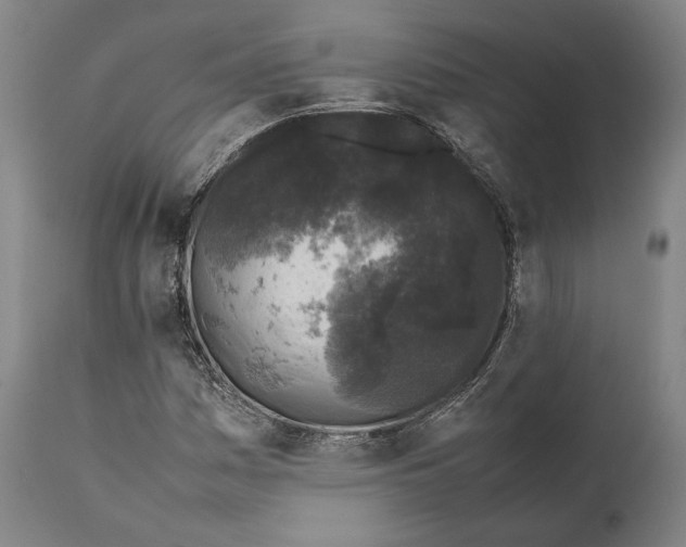 X0000111531161200908111219