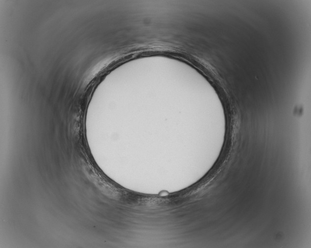 X0000111531163200908111219