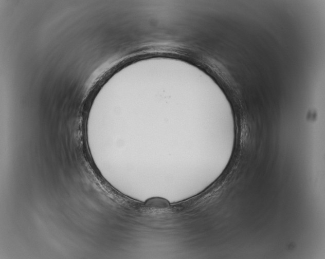 X0000111531164200908111219