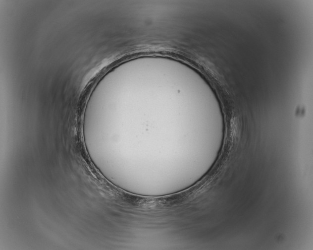 X0000111531165200908111219