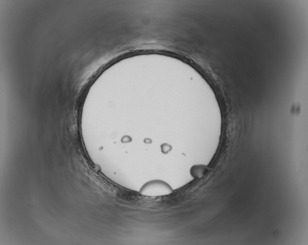 X0000111531167200908111219