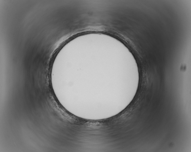 X0000111531168200908111219