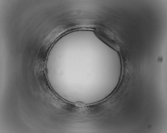 X0000111531169200908111219