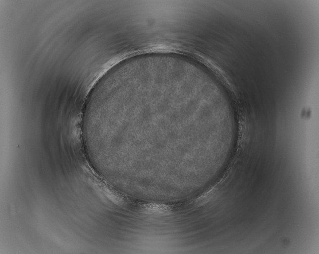 X0000111531170200908111219