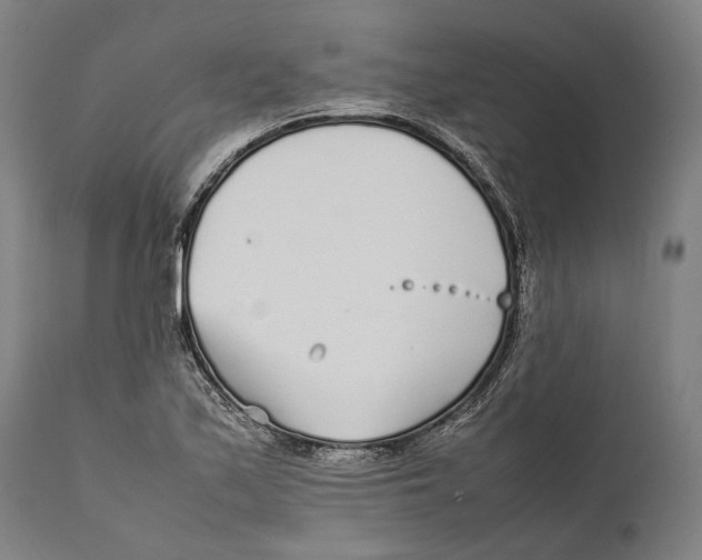 X0000111531171200908111219