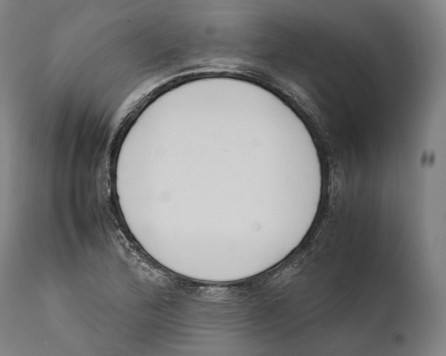 X0000111531172200908111219