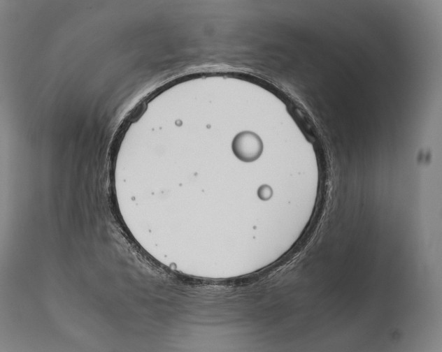 X0000111531173200908111219