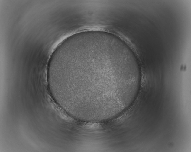 X0000111531174200908111219