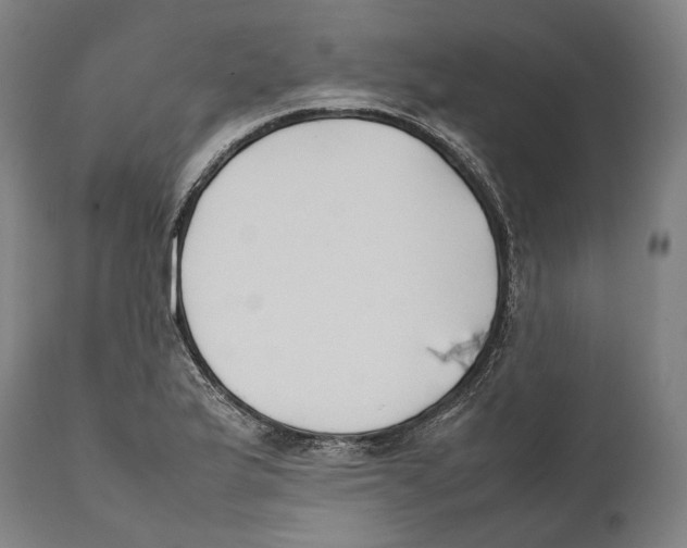 X0000111531175200908111219