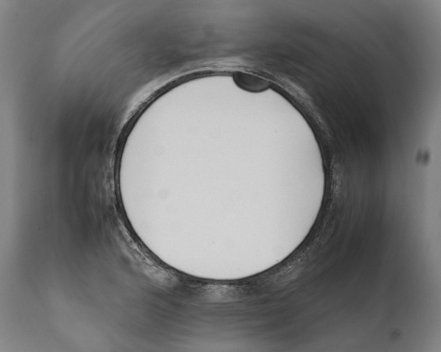 X0000111531176200908111219