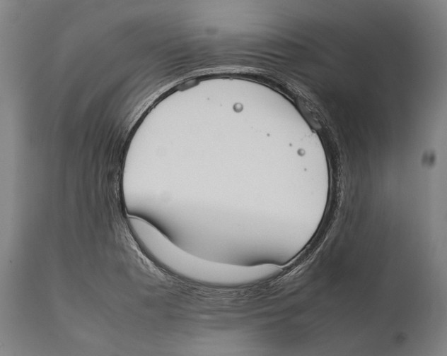 X0000111531177200908111219