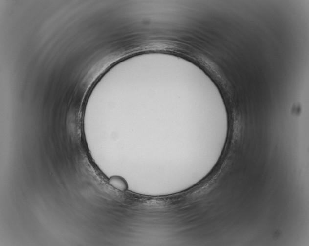 X0000111531178200908111219