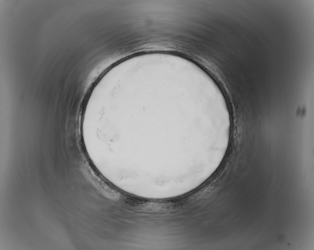 X0000111531179200908111218