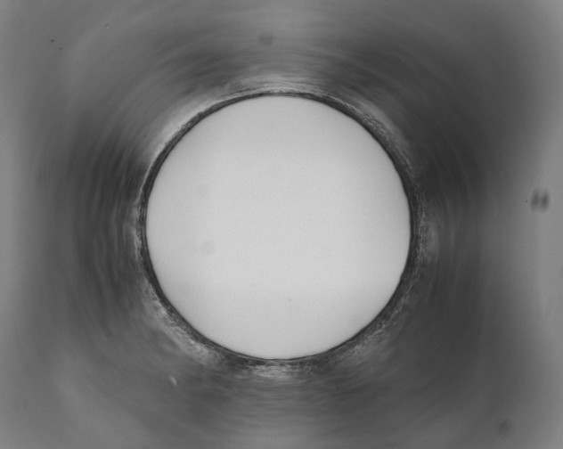 X0000111531182200908111218