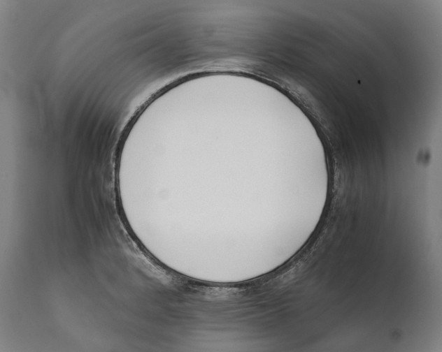 X0000111531184200908111218